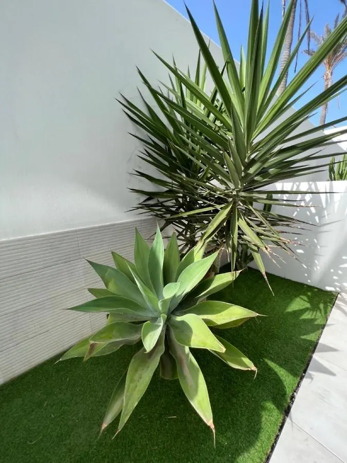 Corralejo Bristol Terrace Apartment Con Giardino Privato Esterno 0*,